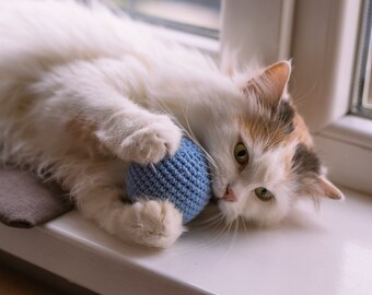 La méga balle, jouet pour chat avec de l'herbe à chat, ne se glissera pas sous le canapé ! Adorable jouet pour chat, jouet avec herbe à chat, jouets pour chats, meilleur jouet pour chat, jouet en valériane