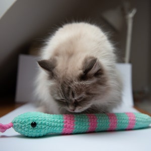 May include: A fluffy white cat with gray markings is looking down at a crocheted toy snake. The snake is green and pink with a black eye.