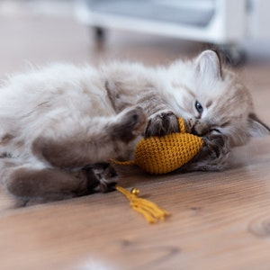 Classic mouse with catnip, cat toys, mouse for cat, cat toy, catnip cat toy, cat toy with bell, crochet cat toy, for cats, crochet mouse