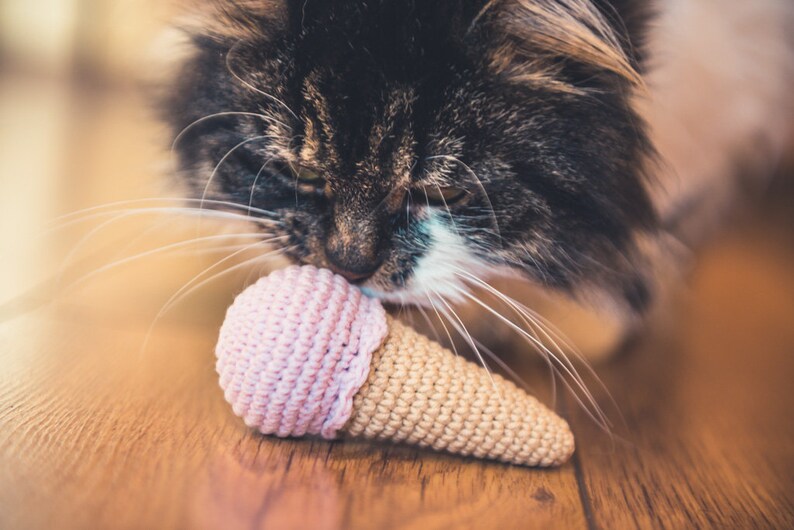 Catnip Ice Cream Cat Toy. Strawberry Mint or Chocolate Cute Etsy