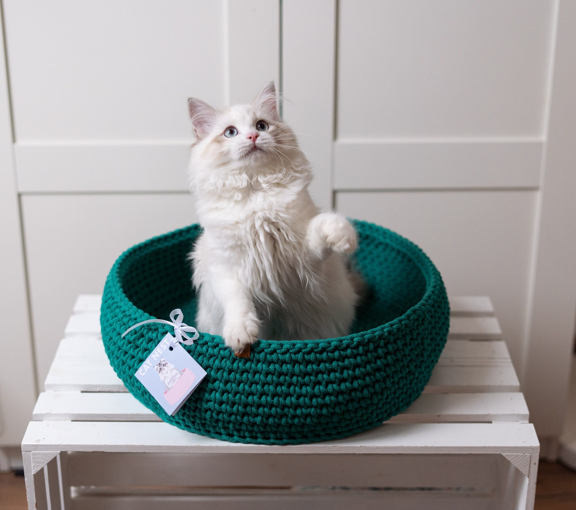 cotton cat bed
