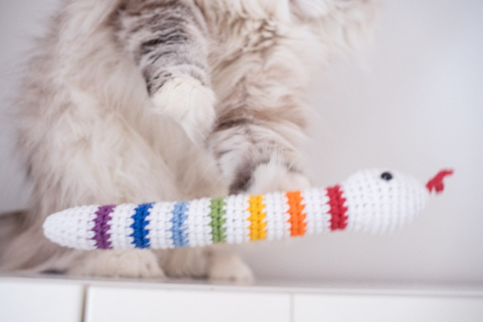 Rainbow Catnip Snake Cat Toy With Rattle Pride Toy Lgbt Cat Etsy