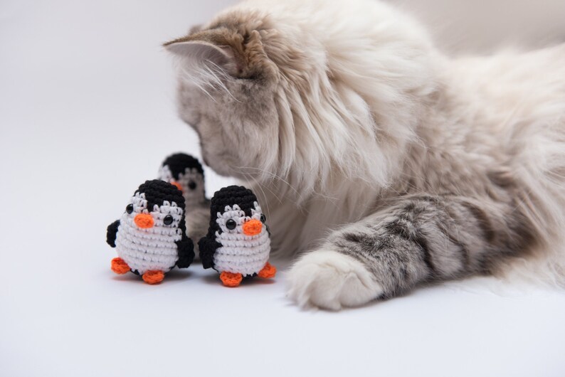 penguin cat toy