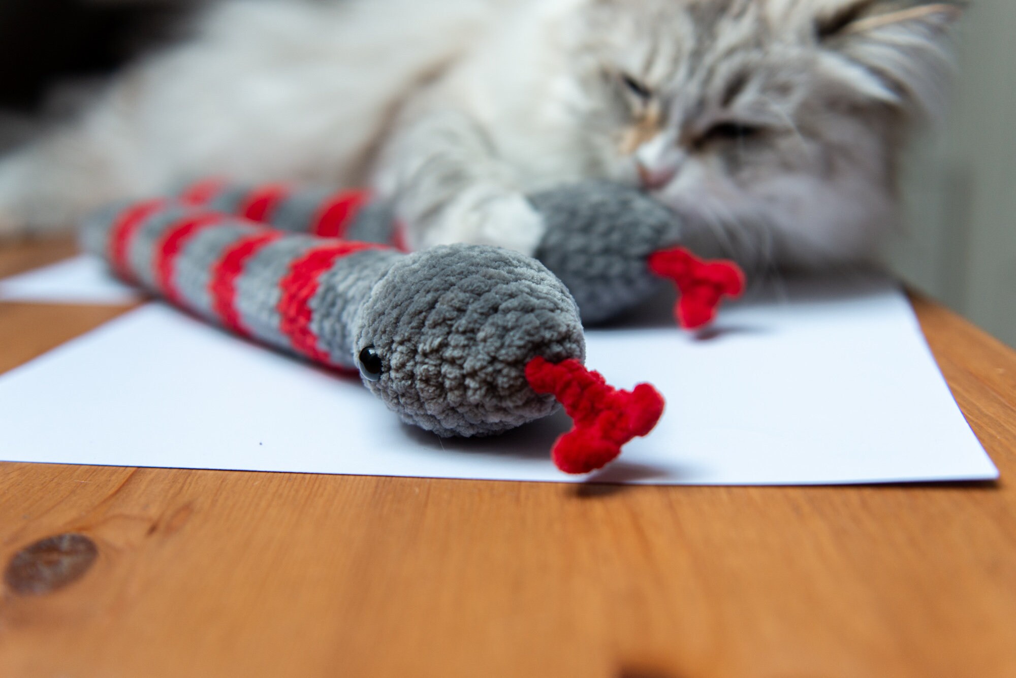 Boa catnip kicker snake cat toy catnip snake cat toys Etsy