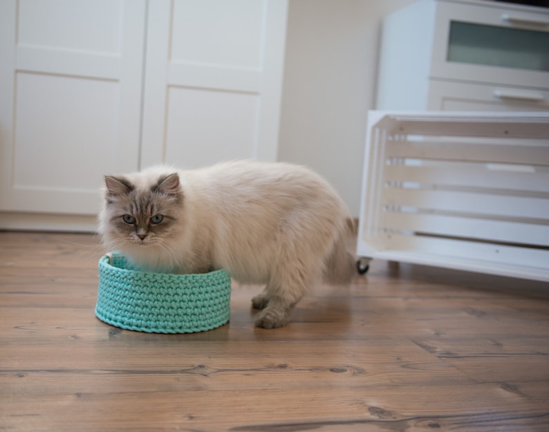 Toy basket, cat toys, cat modern furniture, cotton basket, crochet basket, knitted basket, handmade storage, storage basket, knit storage image 3