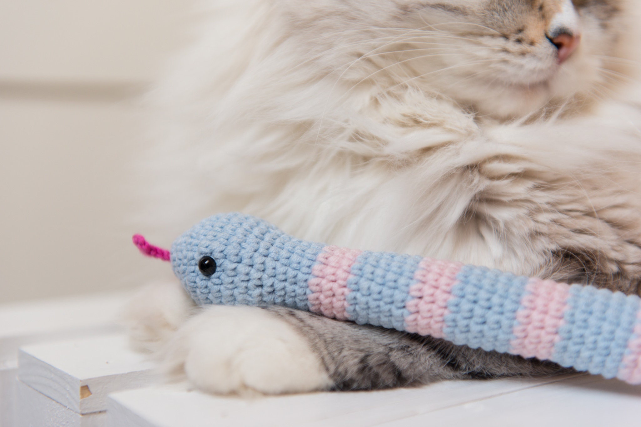 Catnip Snake Cat Toy With Rattle Blue Kicker With Premium Etsy