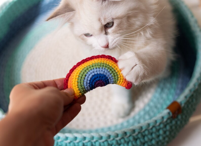 Cat Pride Catnip Rainbow Dumpling Lgbt Cat Toy Catnip Cat Etsy