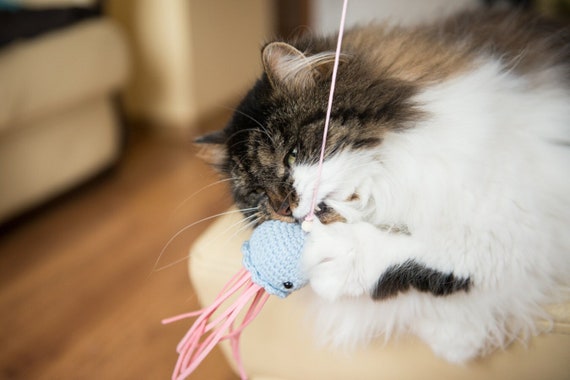 Cat Teaser, Cat Wand, Cute Jellyfish Cat Toy, Fishing Pole Toy for Cats,  Birthday Cat Toy, Catnip Cat Toy, Cat Toy With Valerian, Medusa 