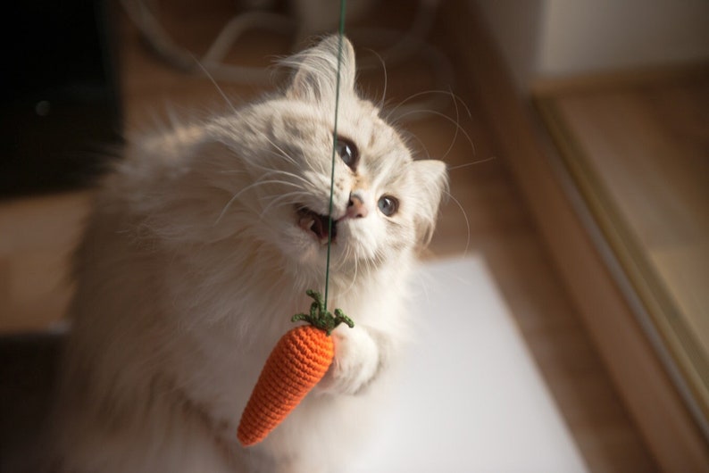 Carrot cat toy, cat toys, carrot toy, catnip toy, wooded cat toy, cat wand toy, cat teaser toy, cat toy, valerian cat toys, crochet cat toy image 2