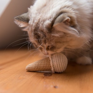 Puede incluir: Un gato blanco y esponjoso con marcas grises est&aacute; jugando con un juguete de helado de crochet. El gato est&aacute; mirando hacia abajo al juguete con la boca abierta.