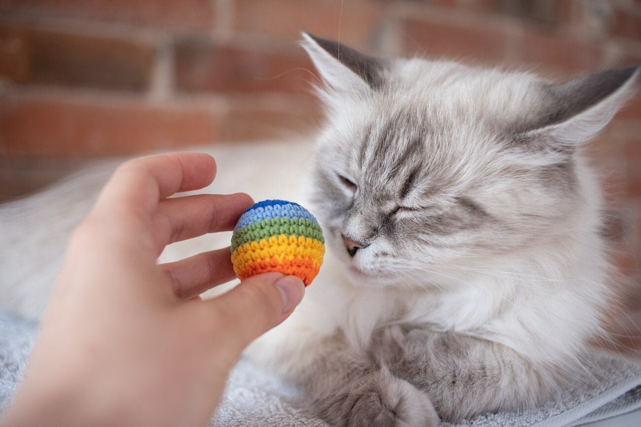 Cat Pride Catnip Rainbow Ball Lgbt Cat Toy Catnip Cat Toy Etsy
