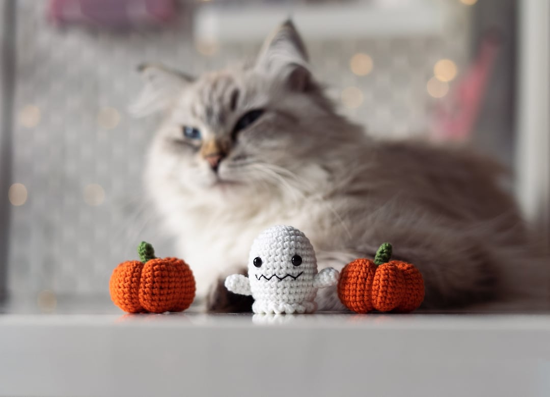 Ghost Cat Toy Crochet Halloween Toy Cat Toy With Catnip Cat Etsy