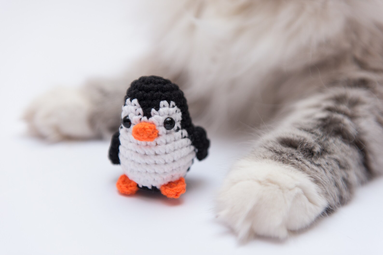 Penguin catnip cat toy best cat toys. Cute black and white Etsy