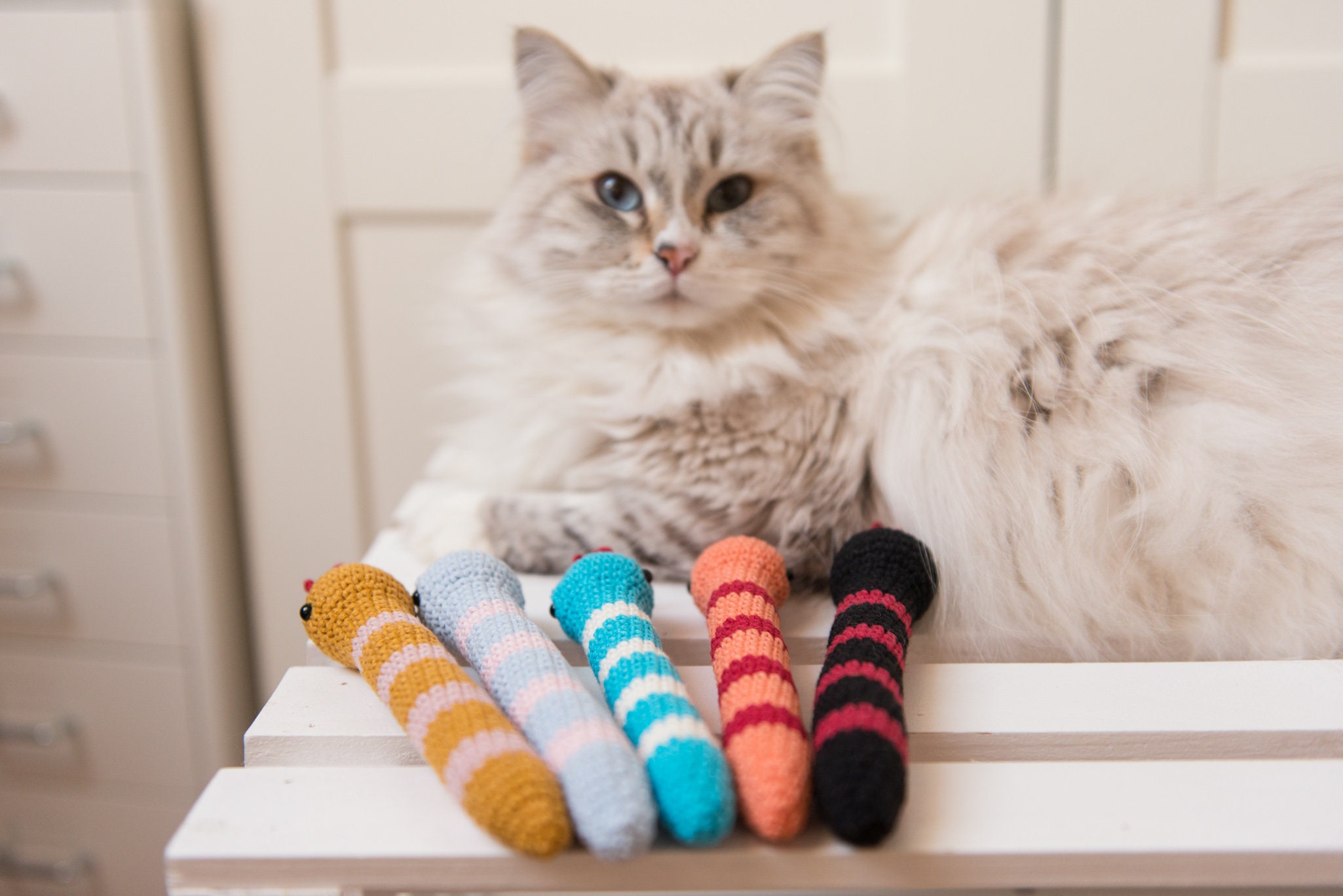 Catnip Snake Cat Toy With Rattle Blue Kicker With Premium Etsy