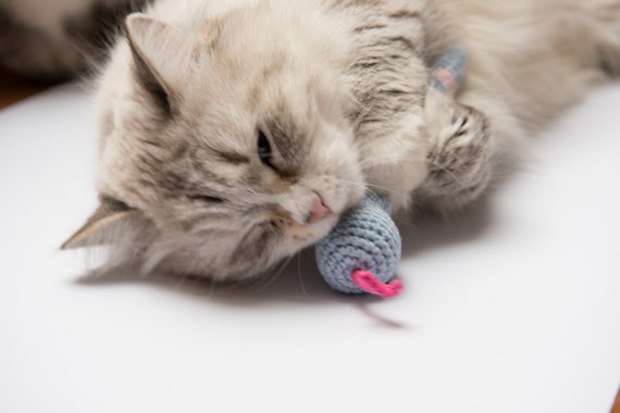 Catnip Snake Cat Toy With Rattle, Black Kicker With Premium Catnip and  Valerian. Cute Cat Toys. Long Crochet Toy , Catnip Kicker Crochet 