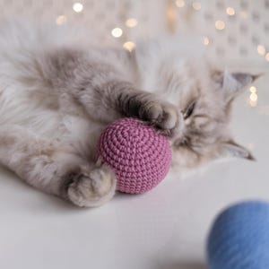 Pink Mega ball, catnip cat toy, won&#39;t get under the couch! cute cat toy, toy with catnip, toys for cats, best cat toy, valerian toy