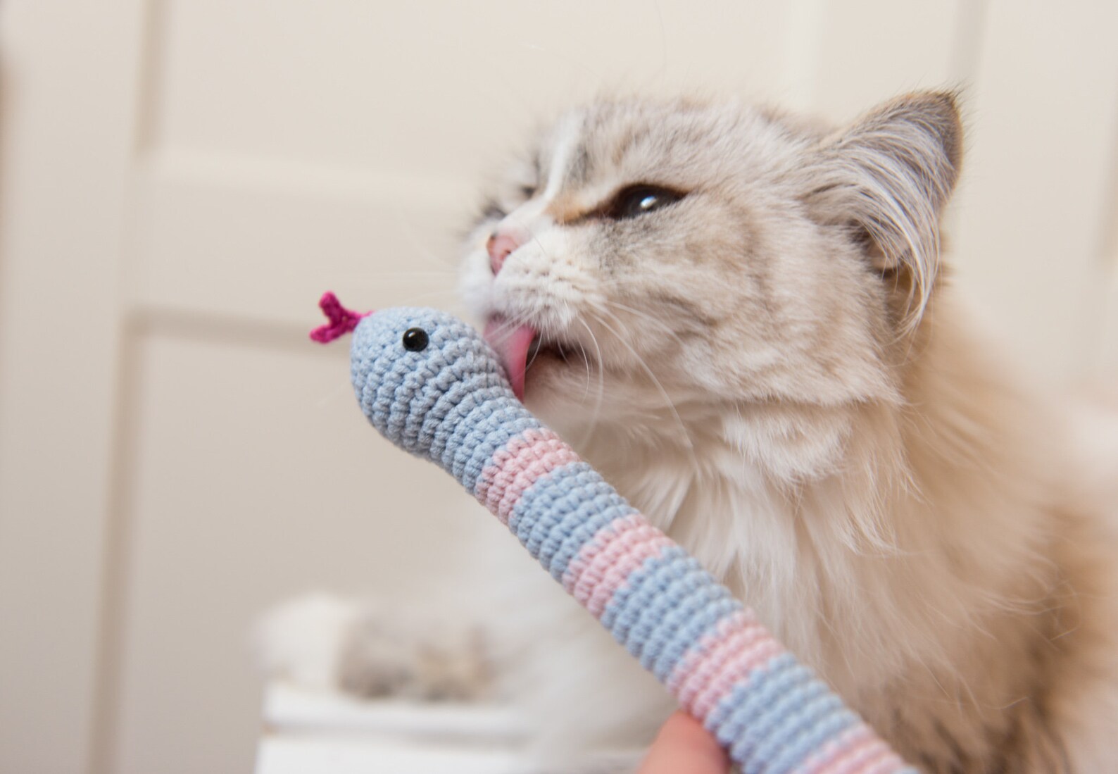 Catnip Snake Cat Toy With Rattle Blue Kicker With Premium Etsy