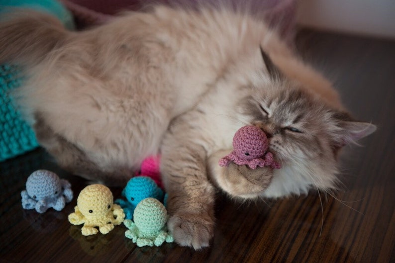 Octopus cat toy, medusa cat toy, catnip cat toy, valerian octopus, cute cat toy, toy with catnip, toys for cats image 4
