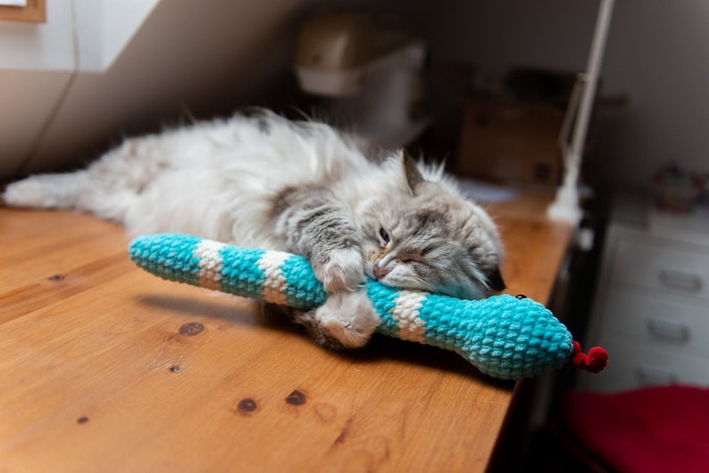 Boa Catnip Kicker Snake Cat Toy Catnip Snake Cat Toys Etsy