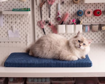Cama de ventana para gatos, asiento de ventana acogedor, inserto de espuma extraíble