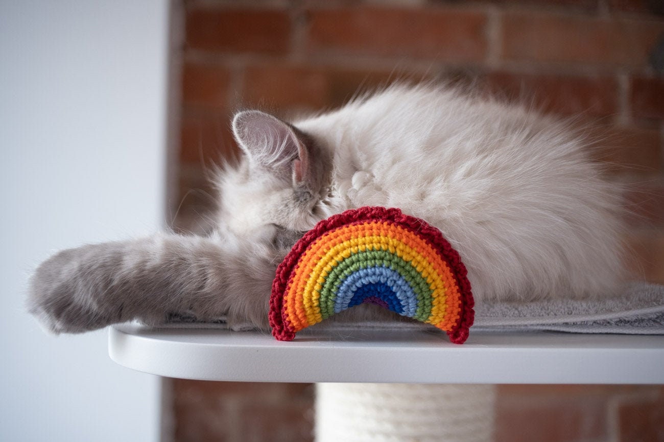 Cat pride catnip rainbow dumpling lgbt cat toy catnip cat Etsy