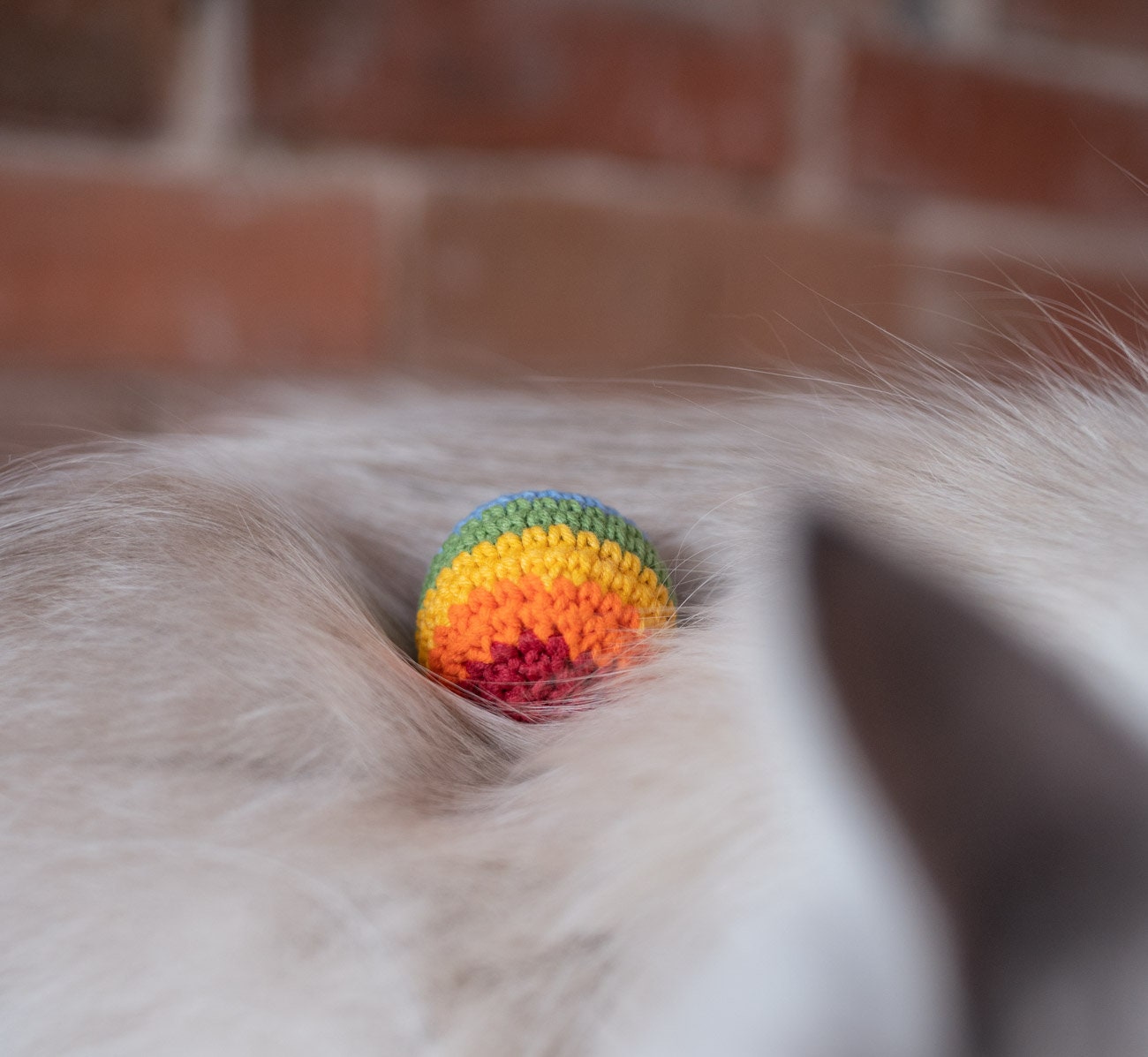 Cat Pride Catnip Rainbow Ball Lgbt Cat Toy Catnip Cat Toy Etsy
