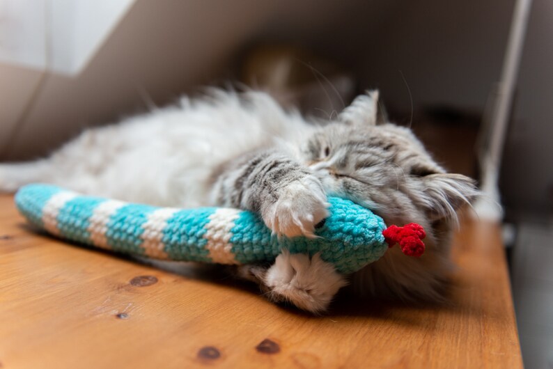 Boa Catnip Kicker Snake Cat Toy Catnip Snake Cat Toys Etsy