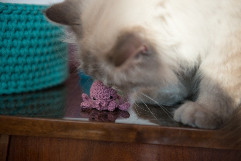Octopus cat toy, medusa cat toy, catnip cat toy, valerian octopus, cute cat toy, toy with catnip, toys for cats image 3