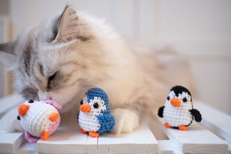 Penguin Catnip Cat Toy Best Cat Toys. Cute Cat Toy Pink Etsy