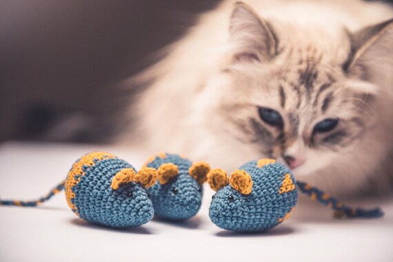 valerian drops for cats