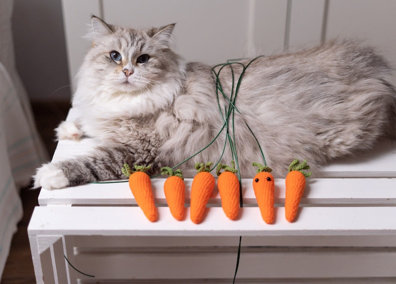 Carrot cat toy, cat toys, carrot toy, catnip toy, wooded cat toy, cat wand toy, cat teaser toy, cat toy, valerian cat toys, crochet cat toy image 5