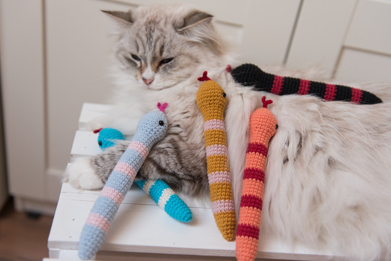 Catnip Snake Cat Toy With Rattle Blue Kicker With Premium Etsy