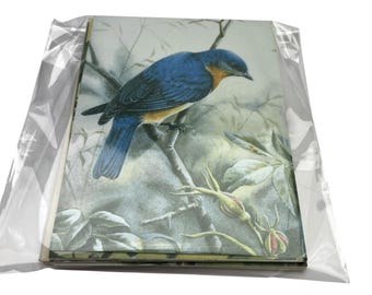 May include: A stack of rectangular greeting cards enclosed in a clear plastic sleeve. The top card features a detailed illustration of a blue bird with an orange chest perched on a thin branch, surrounded by muted green foliage and rose hips.