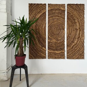 May include: Three wooden wall panels with a tree ring design in shades of brown and tan. A potted plant with long green leaves sits on a black metal stand to the left of the panels. The panels are mounted on a white wall.