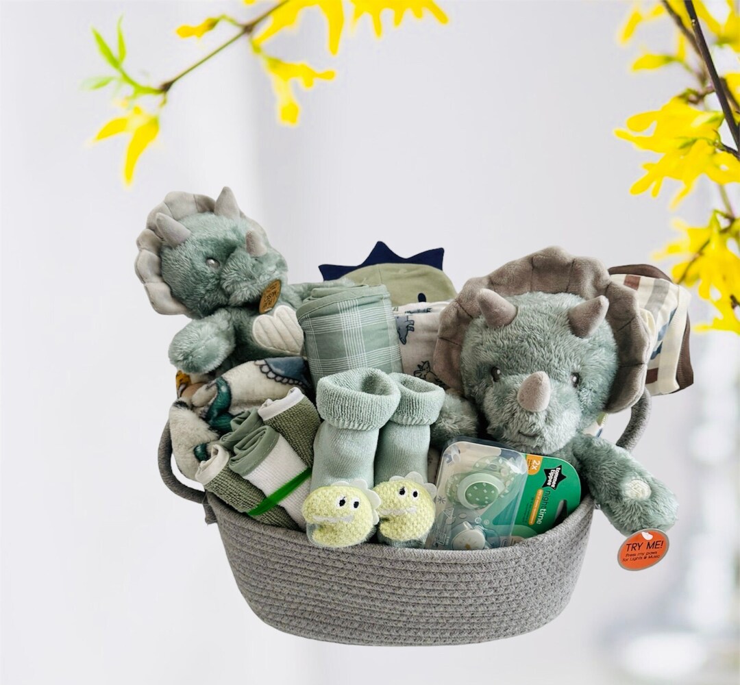 Dinosaur Baby Gift Basket, Baby Gift Set, Dinosaur Baby Shower Etsy