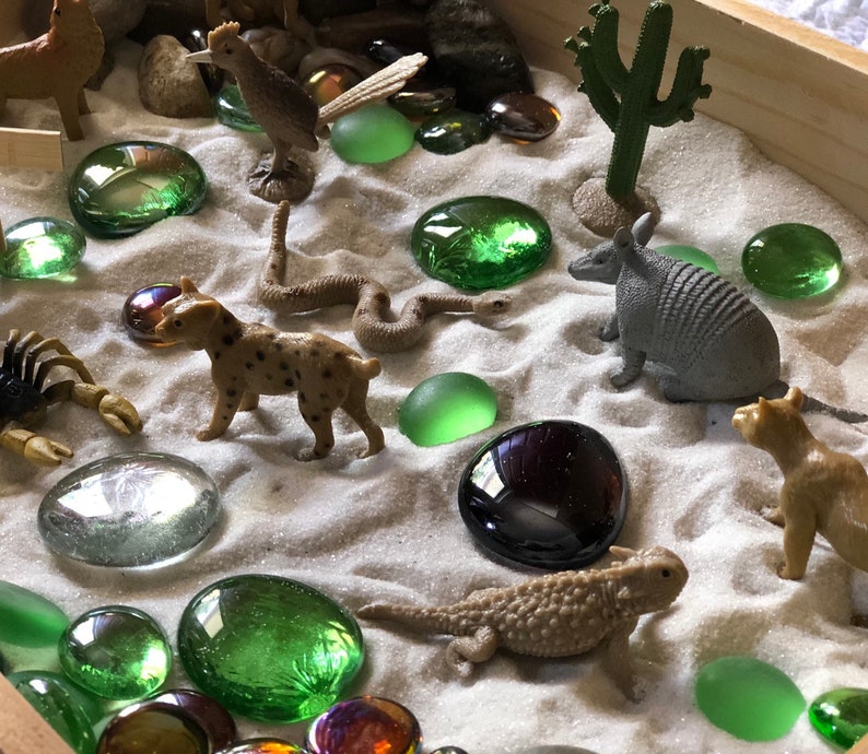 Desert Sensory Bin Activity Set Montessori Reggio Emilia | Etsy