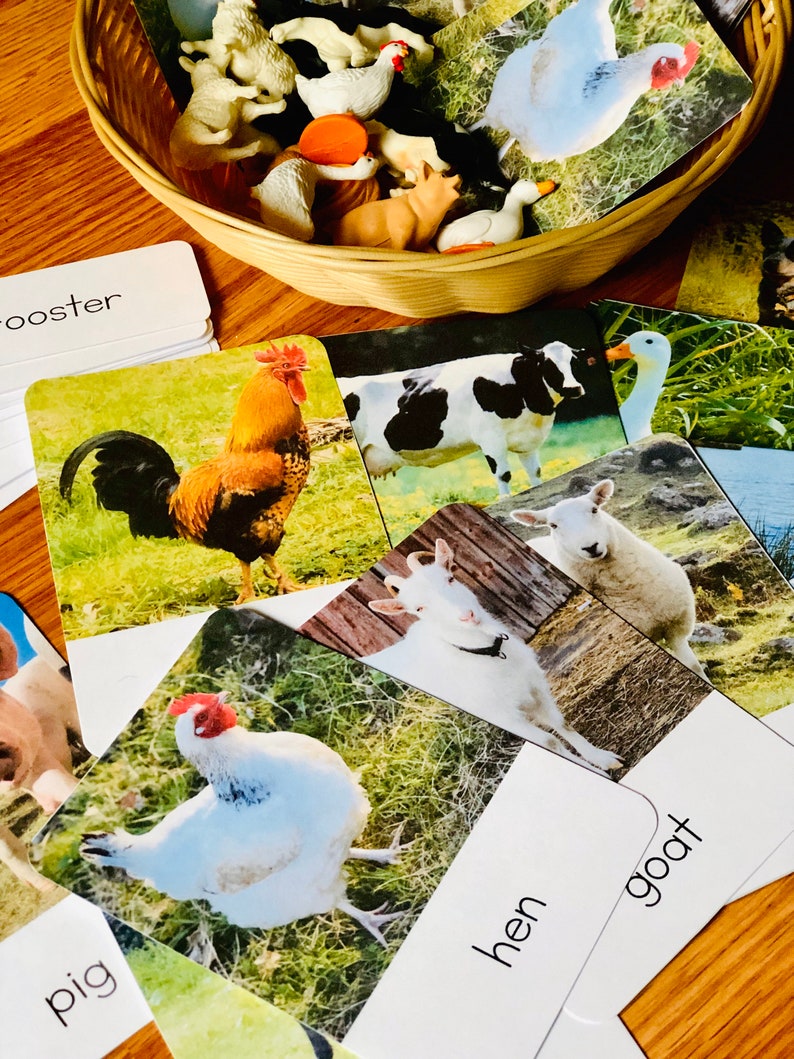 download montessori download montessori