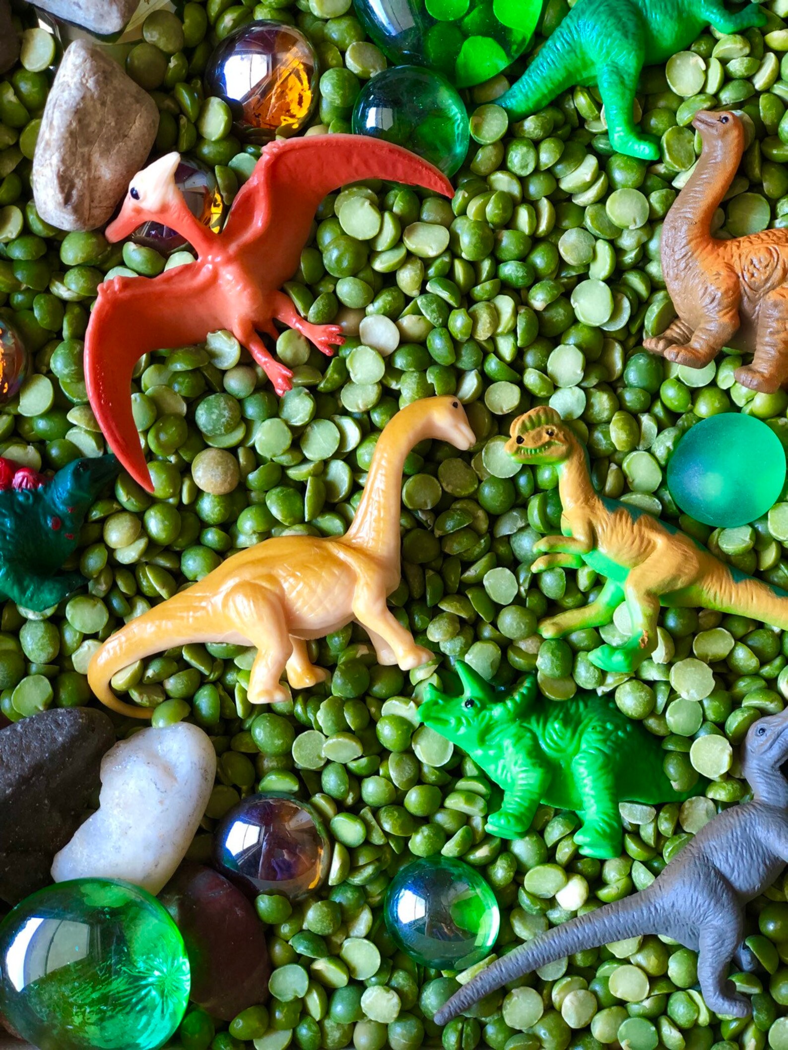 Dinosaur Sensory Bin Activity Set Montessori Reggio Emilia Etsy
