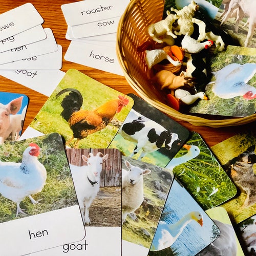 Montessori Farm Animal 3 Part Cards Etsy