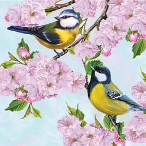 May include: Two bluebirds with yellow breasts perched on a branch of a flowering tree with pink blossoms. The birds are facing different directions.