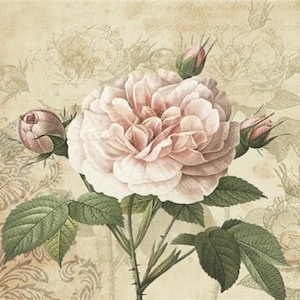 4 Paper Napkins For Decoupage | Decoupage Napkins | Vintage Rose with Buds |  Napkin for Decoupage | Paper Serviette | Decoupage Prints |