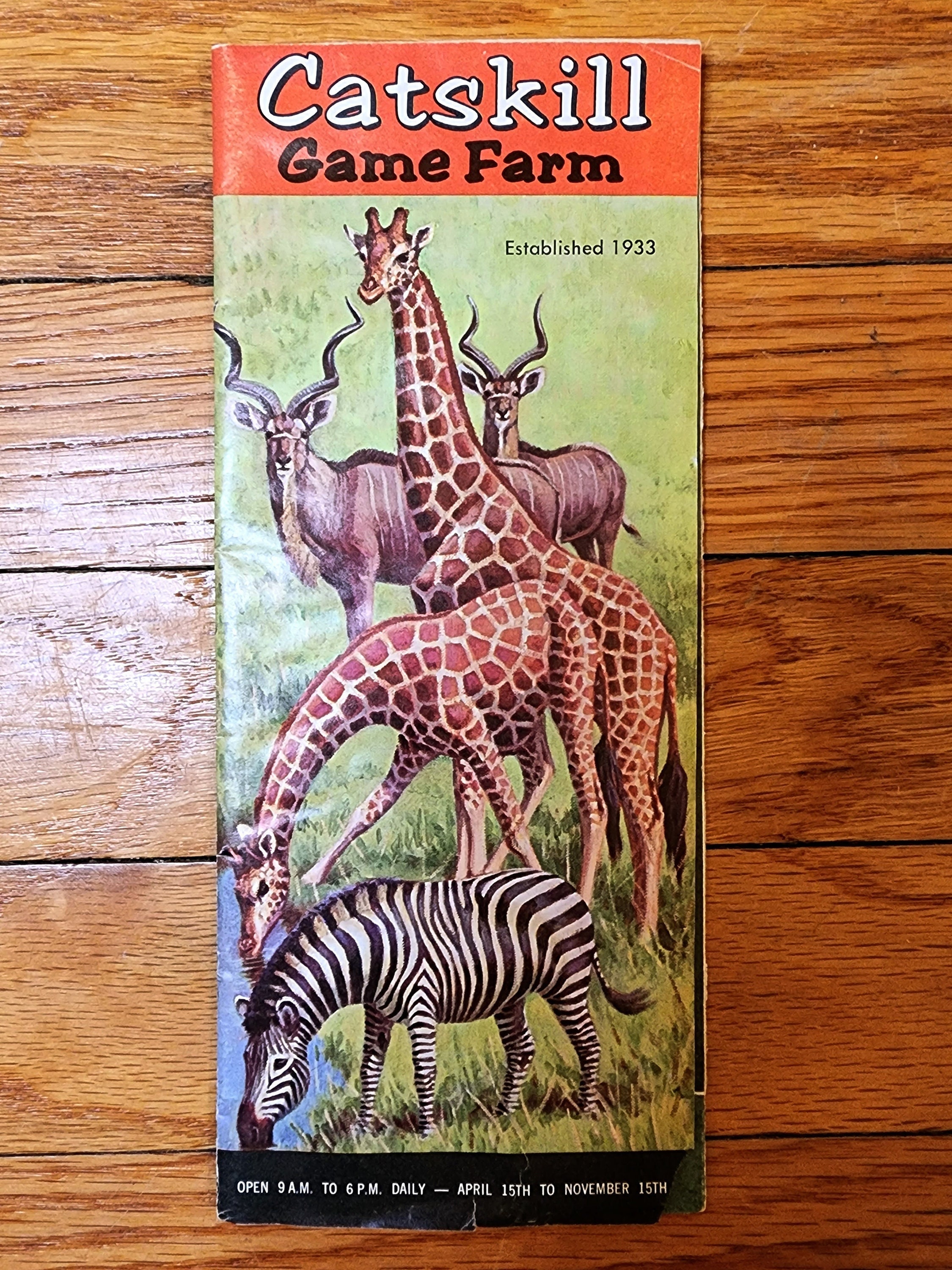 Long Island Game Farm Giraffe Clipart