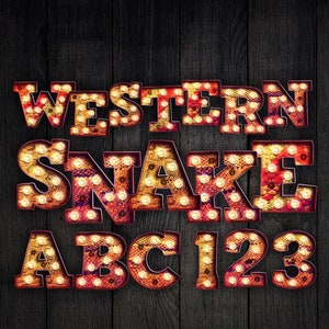Descarga digital / Western Snake Skin Red Gold Marquee Letters &Numbers / PNG Image Graphic Clipart Bundle Set / Alphabet Art