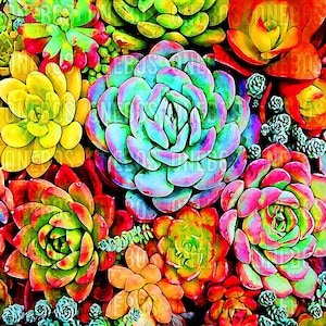 Succulento file digitale PNG, colorato Pretty Cactus Rainbow Background Pattern, Waterlide Decal Sublimation, Tumbler Cup Wrap Design