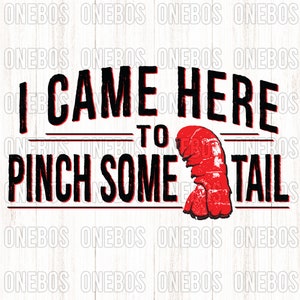 Funny Crawfish Shirt Design, Crayfish (Digital Download)  -  I Came Here to Pinch Some Tail