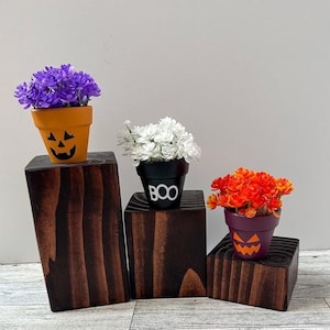 以下が含まれることがあります： 装飾的な植木鉢が置かれた3つの木製台座。 植木鉢はオレンジ、黒、紫にペイントされており、ジャック・オ・ランタンの顔と「BOO」の文字が特徴です。 花は紫、白、オレンジです。