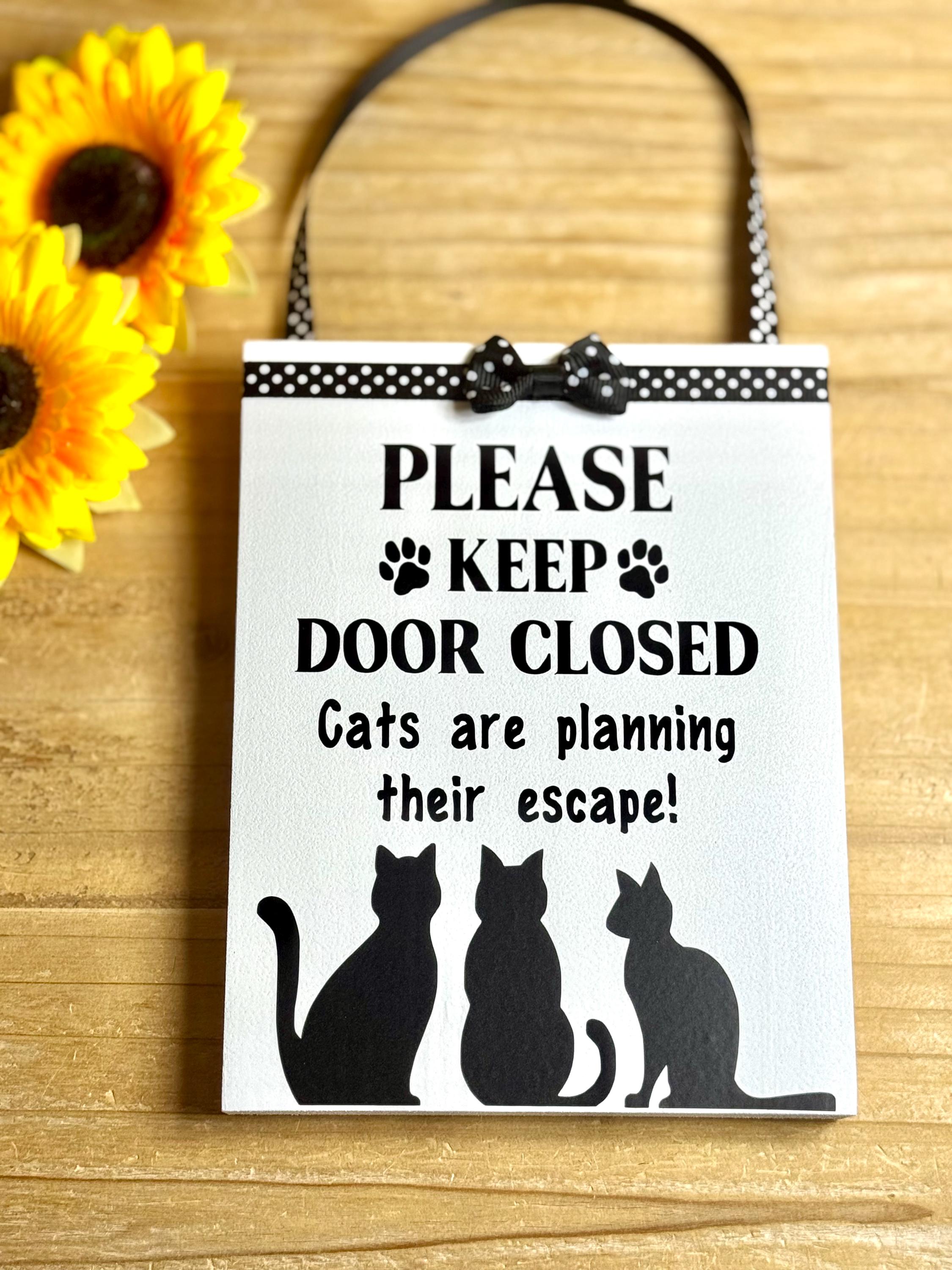 Funny Cat Door Sign – "cats Are Planning Their Escape" White Wood