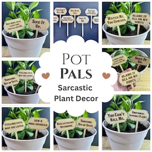 Puede incluir: Una colección de plantas en macetas con etiquetas de madera humorísticas. Las etiquetas presentan frases sarcásticas como "Succ It Up" y "Emotional Support Plant." La imagen se titula "Pot Pals Sarcastic Plant Decor."