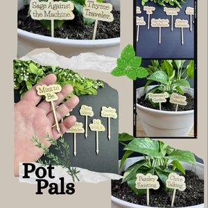 Könnte beinhalten: Holz-Pflanzenstecker mit humorvollen Sprüchen wie „Sage Against the Machine“ und „Thyme Traveler“ werden in Topfpflanzen gezeigt. Die Stecker sind in verschiedenen Formen und Größen gehalten, das Thema ist Gartenarbeit.