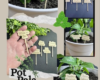Marcadores divertidos para el jardín de hierbas / Estacas de madera para plantas / Letreros con juegos de palabras sobre hierbas / Salvia contra la máquina / Menta para ser / Decoración de jardín ecológica